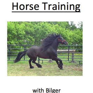 Horse Training with Bilger